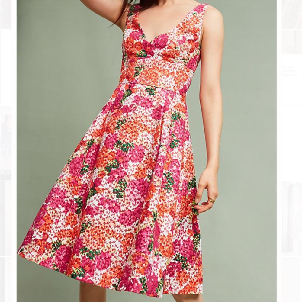 Never Worn Monique Lhuillier Embroidered Dress